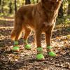 4 pcs/set Wear Resistant Dog Mesh Shoes Breathable Mesh Dog Sneakers Dog Foot Covers  City Walks