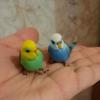 Educational Simulated Budgie Parrot Miniatures Budgerigar Toy Parrot Ornament  Living Room