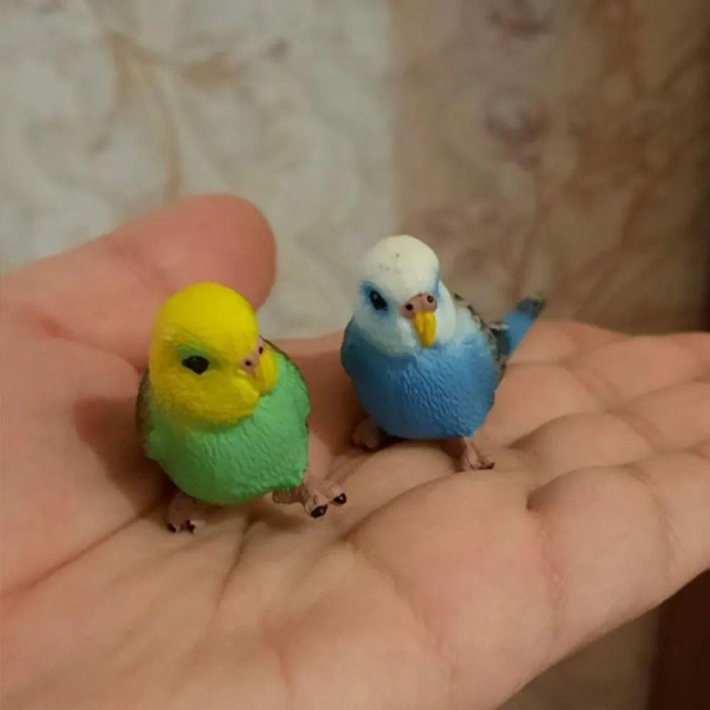 Educational Simulated Budgie Parrot Miniatures Budgerigar Toy Parrot Ornament Living Room