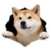 2 шт. 13x11.5 см Милая наклейка на автомобиль Сиба-ину Идеальная наклейка для мотоцикла Реалистичный плюшевый винил с собакой