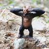 Oenux Simulation Wild Animal Chimpanzee Orangutan Gorilla Tree Sloth Monkey Model Action Figures Garden Miniature Decoration Toy