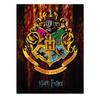 Hogwarts Crest Framed Canvas Print