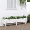 VidaXL Raised Garden Bed White 160x30x38 Cm Solid Pine Wood 825192