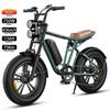 Electric Bike ENGWE M20 20" 750W Motor Top Speed 45Km/h 48V 13AH Range 75Km 7 Speed Load 120Kg