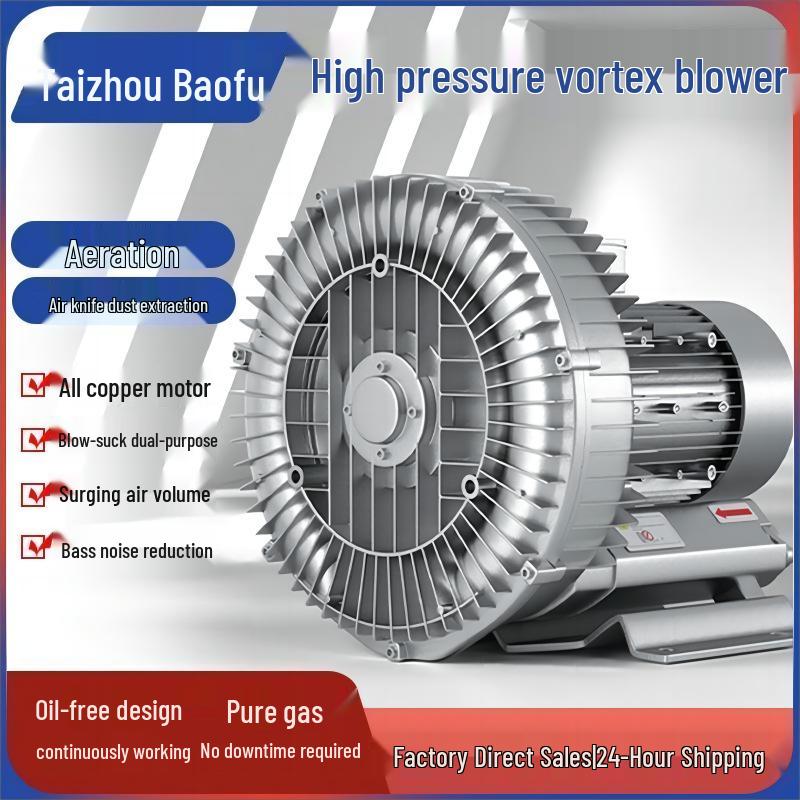 Vortex High-Pressure Industrial Vacuum & Aerator Pump for Fish Ponds