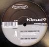 12-дюймовая пластинка KLOUD 9 INCOGNITO Cant Stop Thinking About You EXPAND86 Расширение 2002 UK Dance Electronica Б/у