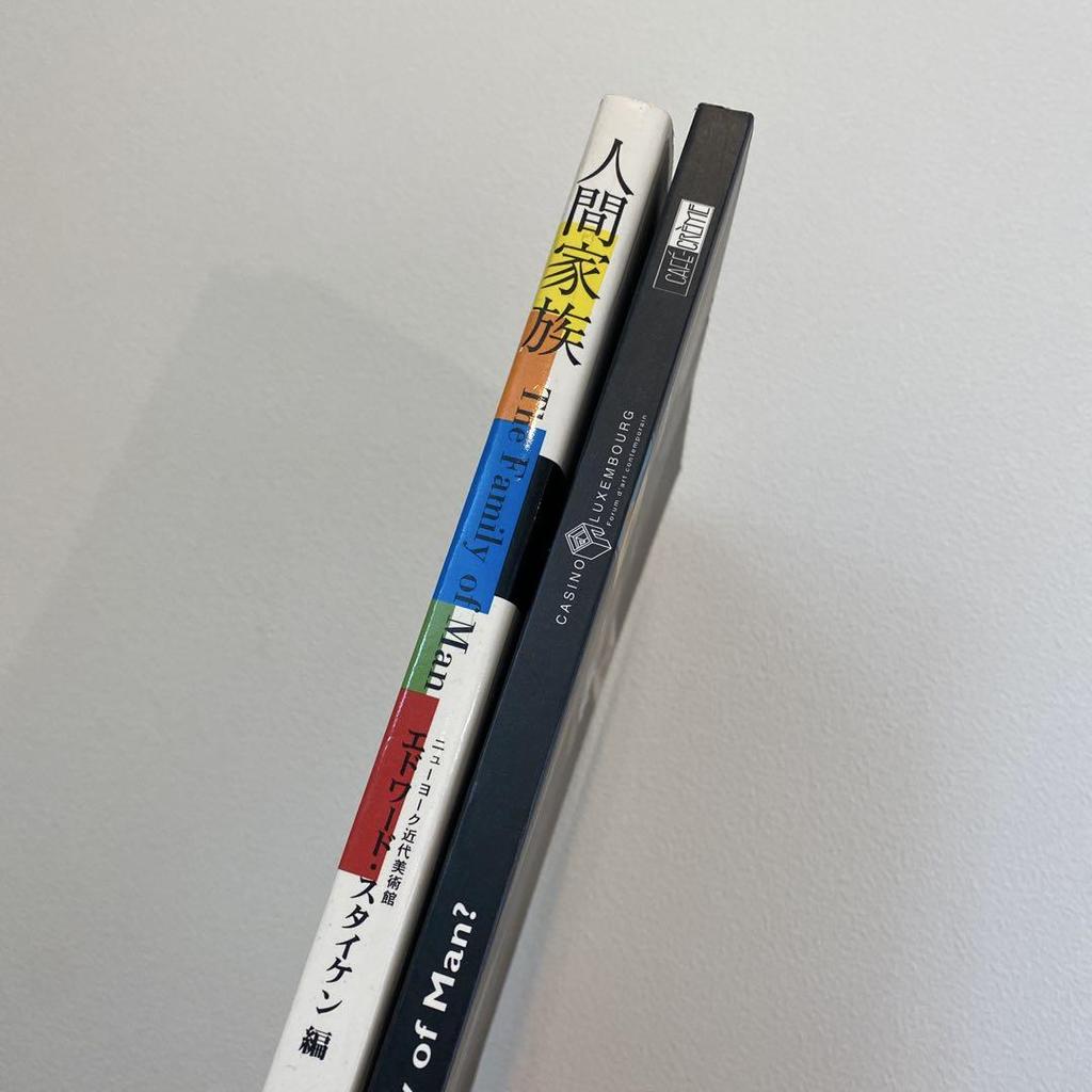 [USED] The 90s A family of Man (English book) 2-book set