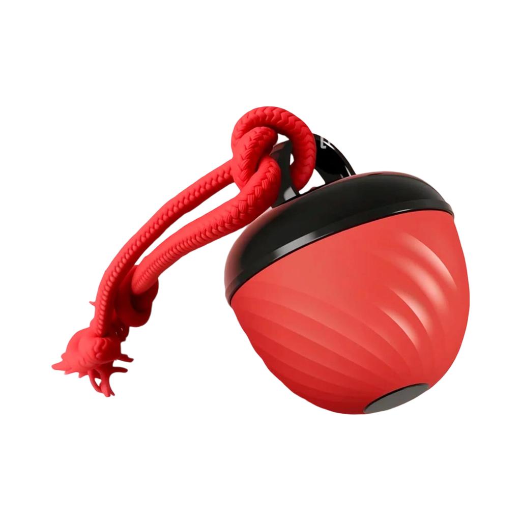 Intelligent Bites Resistant Teasing Dog Ball Grinding Sound Toy , Intelligent Rolling Ball For Electric Dogs To Relieves Boredom And Roll