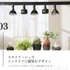 [BARREL Official] Aechmea Plant Fan, Lighting Rail Mount Type, Moisture-Proof, Matte White