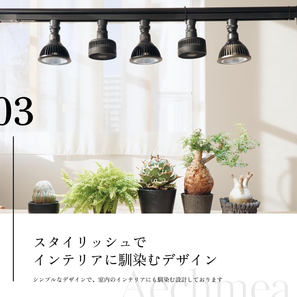 [BARREL Official] Aechmea Plant Fan, Lighting Rail Mount Type, Moisture-Proof, Matte White