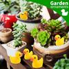 100/50/20Pcs/set Mini Resin Ducks Tiny Duck Miniature Figures Bulk Little Duck Charms for Party, DIY Micro Landscape Decorations