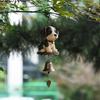 Yousheng Animal Wind Chime Resin Animal Figurine with Metal Bell Retro Puppy Cat Wind Chime with Soothing Sound for Porch Patio Garden Balcony Doorway