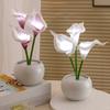 Светильник Yousheng Калла LED Имитация цветка каллы Ночник с керамической вазой Искусственный цветочный светильник для дома, гостиной, спальни, прикроватной тумбочки