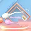 Remote Control Sextoy Vibrating Egg For Women Clitoris Stimulator Massage Wearable Vibration for Adults G-Spot Vibrator