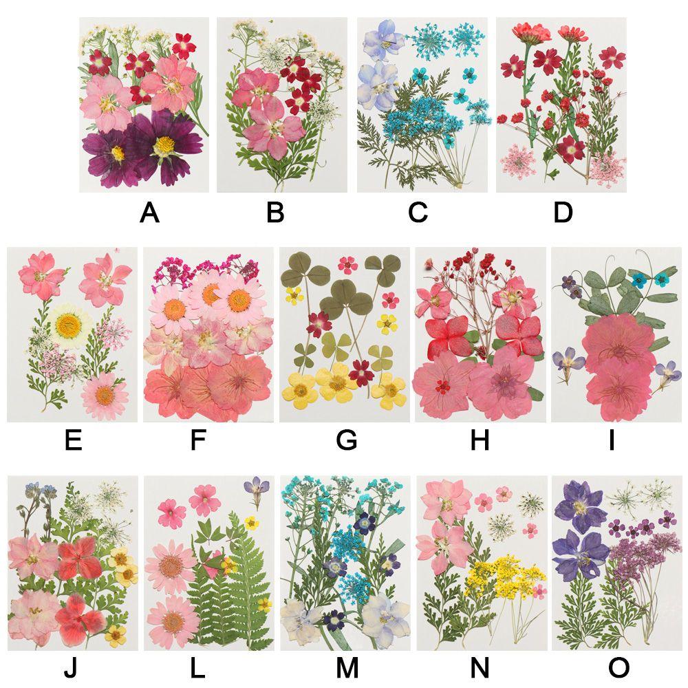 Filling Materials Jewelry Making Beauty Decal Resin Filler Resin Mold Filling Flower Dried Flowers