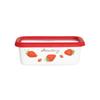 Fuji Enamel Strawberry Shallow Rectangular Container, Small, 0.45L, STB-S