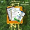 Junlebao Youcui Organic Infant Formula Milk Powder Stage 3