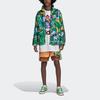 adidas Originals X Kerwin Frost с мультяшным принтом и воротником из искусственного меха, мужская куртка, зеленая H66306
