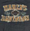 Мужская футболка Harley Davidson 50-летие Фриз О'Фэллон Иллинойс XL