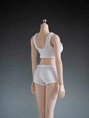 scale action figure sexy shot vest and shot pants gym clothes and head not [TOYBARJAPAN] 1/6 (body included)