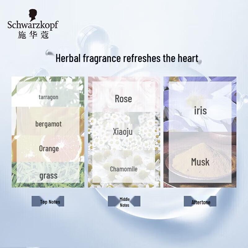 Schwarzkopf Anti-Hair Loss Shampoo & Essence Set for Women