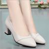 High Quality Thick Heeled Single Shoes Women's 2025 New High Heeled Shallow Mouth Comfortable Genuine Leather Office Women Shoes