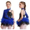 Kids Girls Shiny Sequin Jazz Latin Dance Dress Asymmetrical Sleeves Tulle Party Dress Ballet Dance Leotard Dress