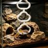 Exercise Hanging Reptile Climbing Ring Plastic 3-Ring Climber Pet Supplies Climbing Hoop Chain