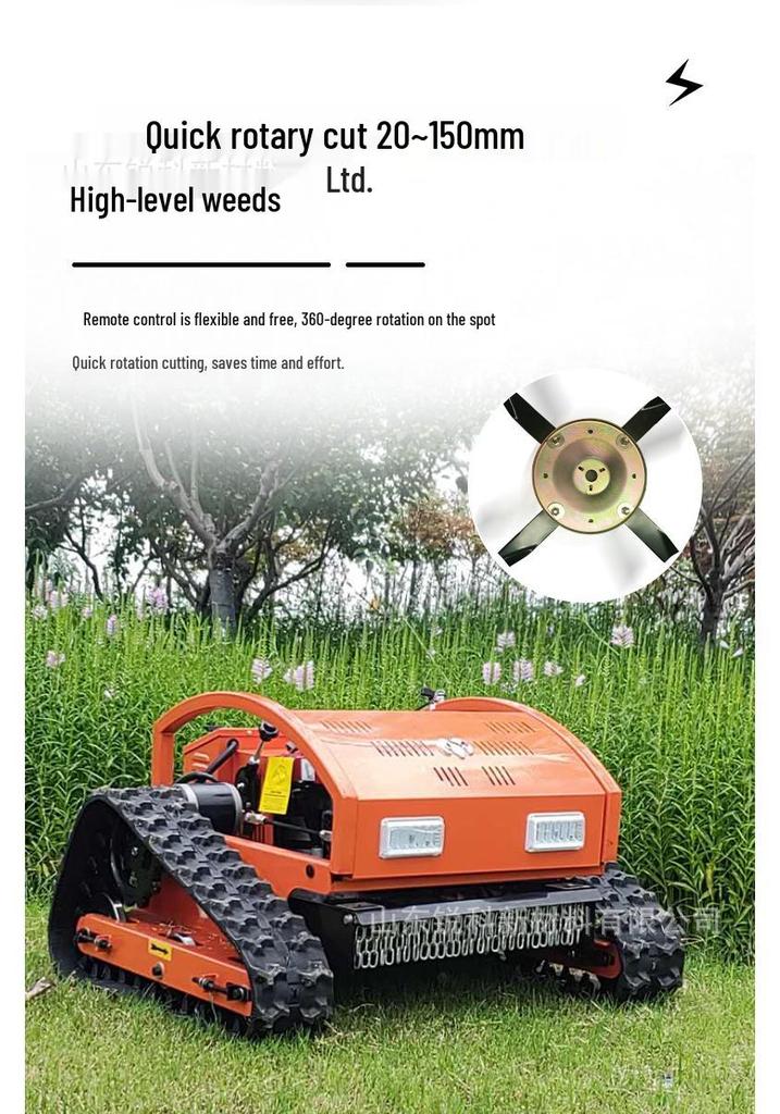 Tracked Dual-Use Remote Control Lawnmower & Snow Sweeper for Germany