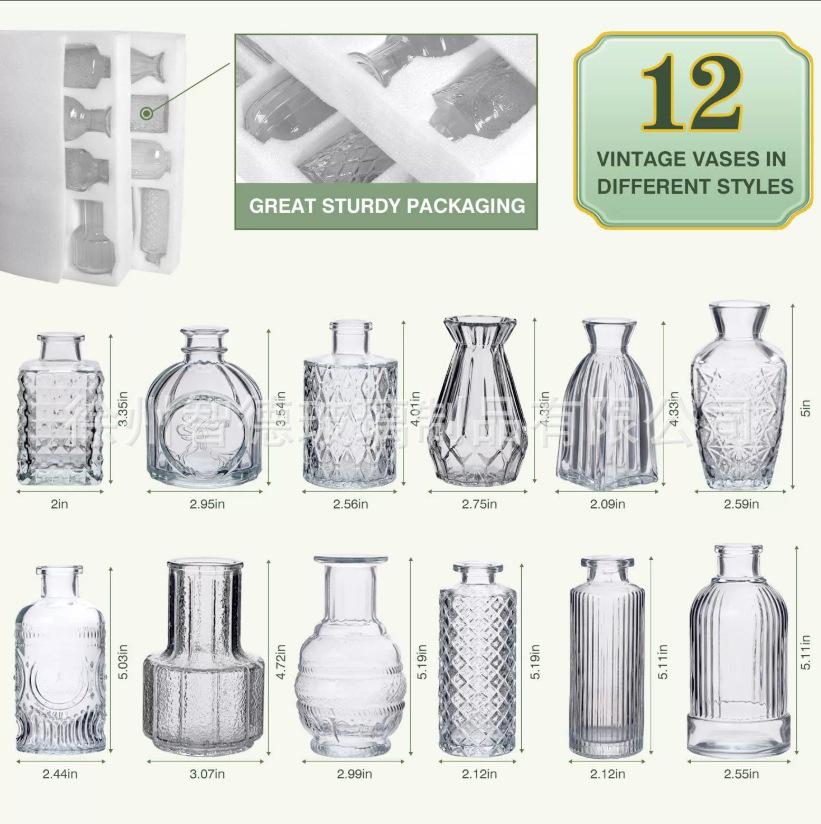 Small French Retro Glass Hydroponic Vase for Home Decor