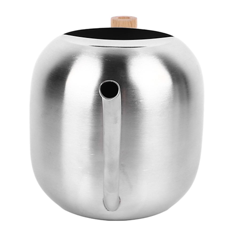 Stainless Steel Watering Can Long Spout Indoor Plant Watering Can Outdoor Garden