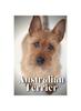 Книга Australian Terrier : How To Train Your Dog and Raise from Puppy Correctly