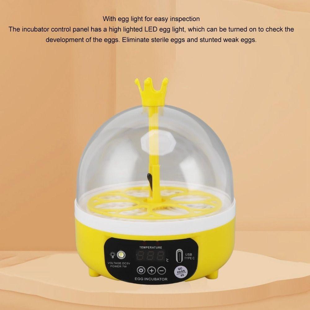 Temperature Humidity Control Mini Egg Incubator Chicken Duck Pigeon Quail Bird