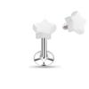 Steel Body Piercing Jewelry Labrets Lip Ear Studs Star Shape Tragus Earrings Cartilage Helix