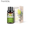 PHATOIL 5ml/10ml/15ml/30ml/100ml Bergamot Plant Essential Oil for Air Freshener Aromatherapy Spa Body Care Relieve Pain Fragrance Aroma Oil