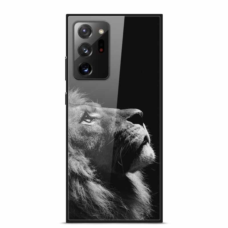 Стеклянная задняя крышка для чехла Samsung Note 20 Ultra Чехол из закаленного стекла для чехла Samsung Galaxy S21 Ultra S 21 Note20 Ultra Funda