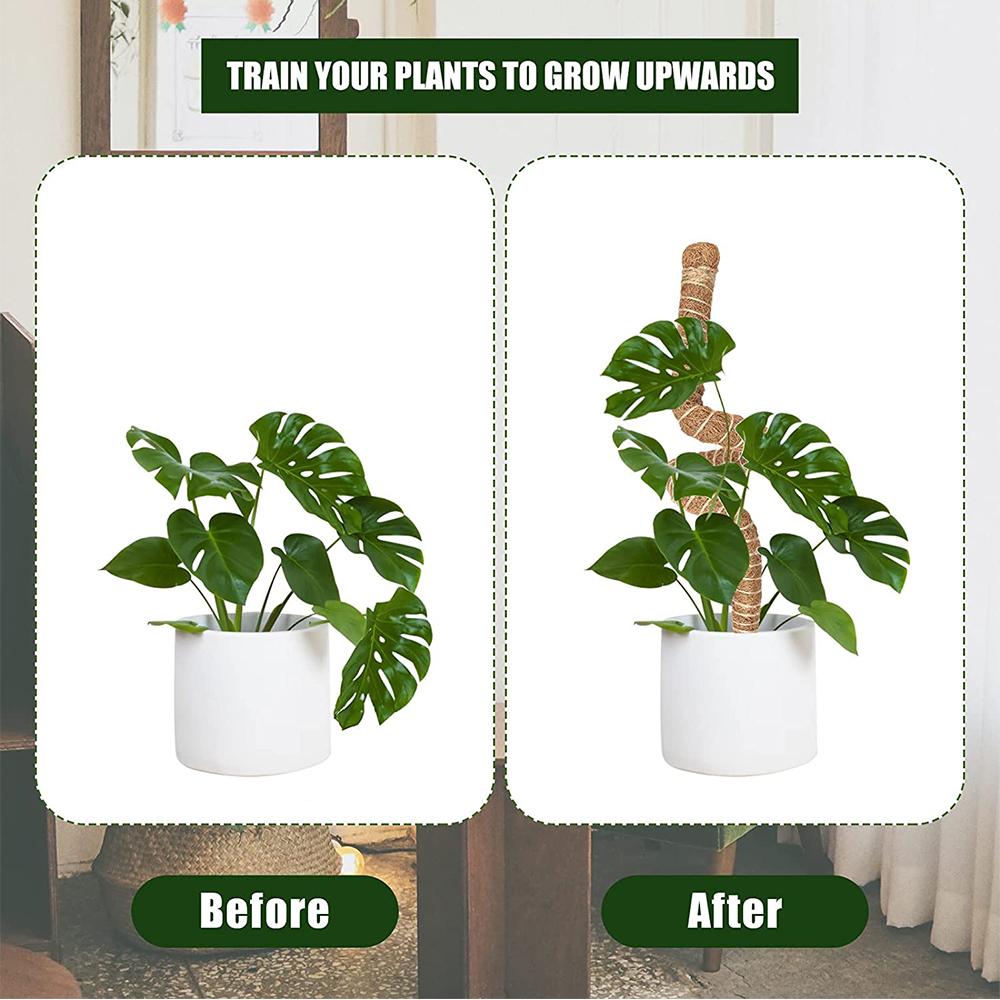 Моховая опора Идеально подходит для роста маленьких и средних вьющихся шпалерных растений в помещении