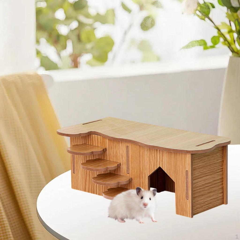 Hamster Habitat with Climbing Structure for Small Animals