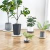 Heavy Duty Flower Pot Mobile Tray Square Rolling Plant Tray Universal Wheel Mobile Base  Indoor