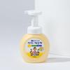 Foam Type Pure Container 250ml