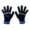 Puma Перчатки Zqc 042063 02 Спортивные перчатки Puma Cat 1