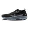 Pegasus Trail 5 GORE-TEX Black Wolf Grey мужские кроссовки Cool-Grey Anthracite FQ0908-001