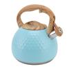 Tea Kettle 3L Teapot 304 Stainless Steel Household Whistling Tea Kettle Water Kettle Tea House Accessories