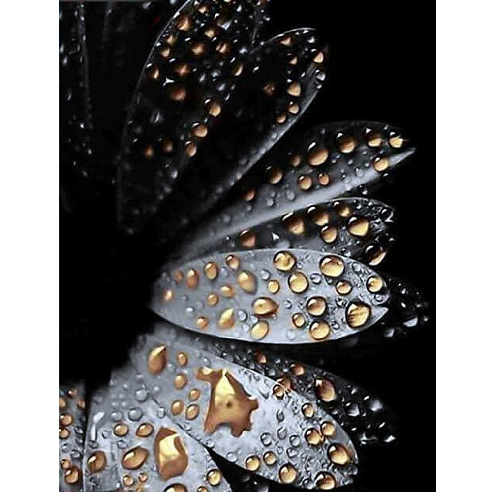 5D Алмазная вышивка Восход Пейзаж Вышивка крестиком Алмазная вышивка животное полная квадратная дрель изображение горный хрусталь домашний декор