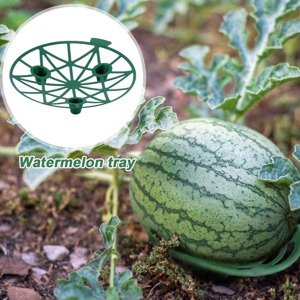 10pcs Melons Cradle Pumpkin Support Strawberry Supports Holder Set Protect Watermelons From Ground Rot Holds Up To 8 Lbs