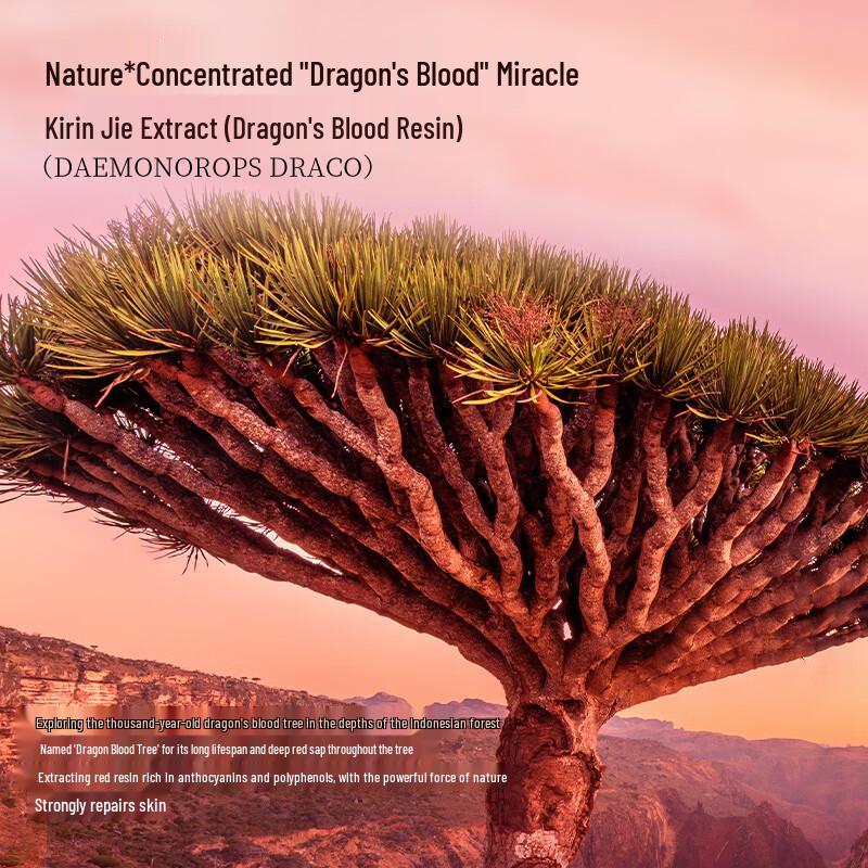 FAN BEAUTY DIARY Dragon Blood Mushroom Fermented Repair Mask