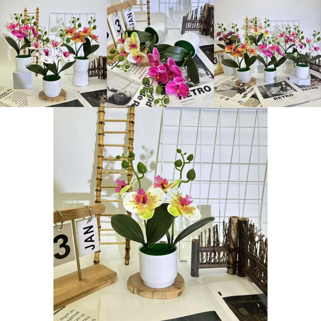 Butterfly Orchid Imitation Flower Set For Home Interior And Outdoor Garden Decoration