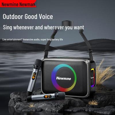 Портативная уличная Bluetooth-колонка Newmine MC98 с двумя микрофонами, штекер CN (адаптер в комплекте)