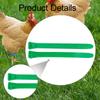 100 Pieces Chicken Leg Bands Poultry Identification Tags Rings for Bantam