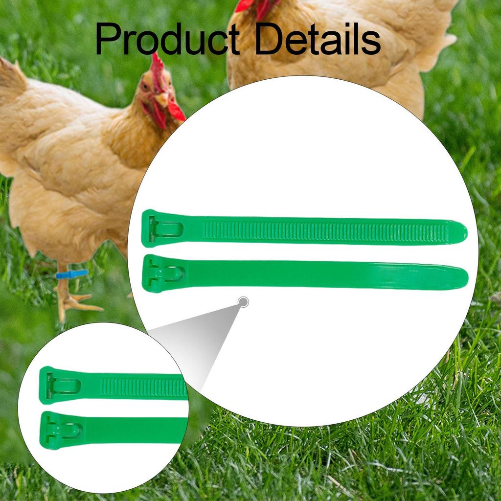 100 Pieces Chicken Leg Bands Poultry Identification Tags Rings for Bantam